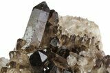 Dark Smoky Quartz Crystal Cluster - Brazil #80180-3